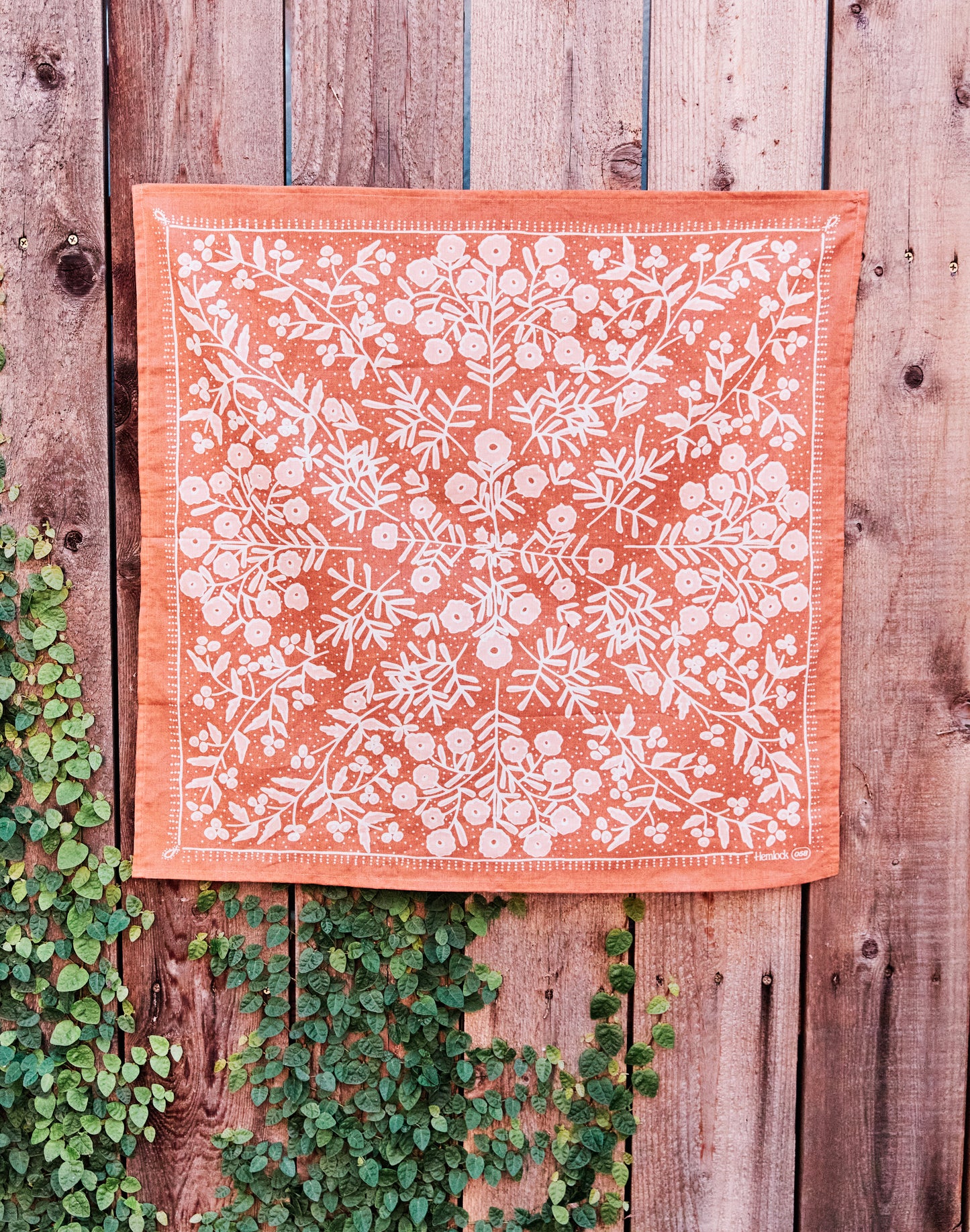 Terra Bandana