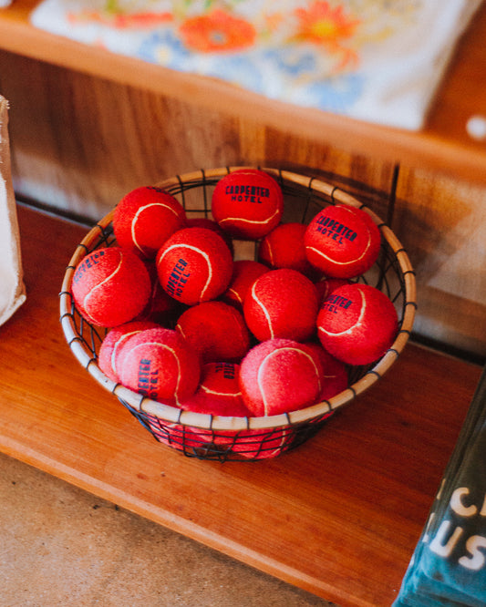 Carpenter Hotel Dog Ball