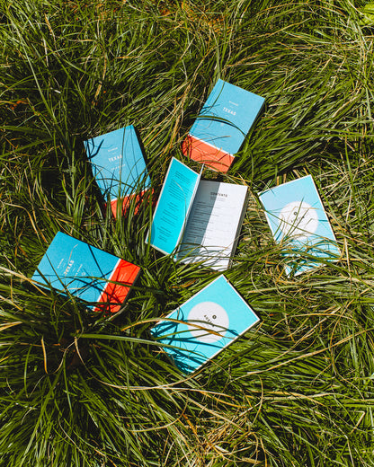 Wildsam Austin Field Guide