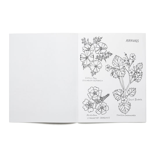 Open page of the 'Buds Along The Path' coloring book featuring illustrations of various annuals flowers and the title text.