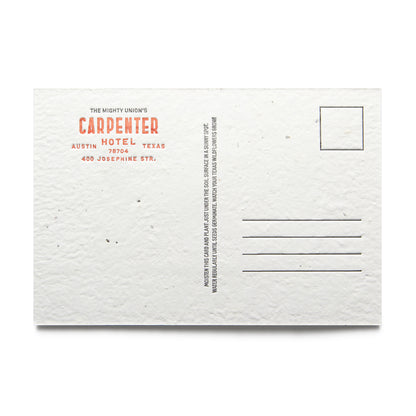 Lady Bird Letterpress Seeded Postcard